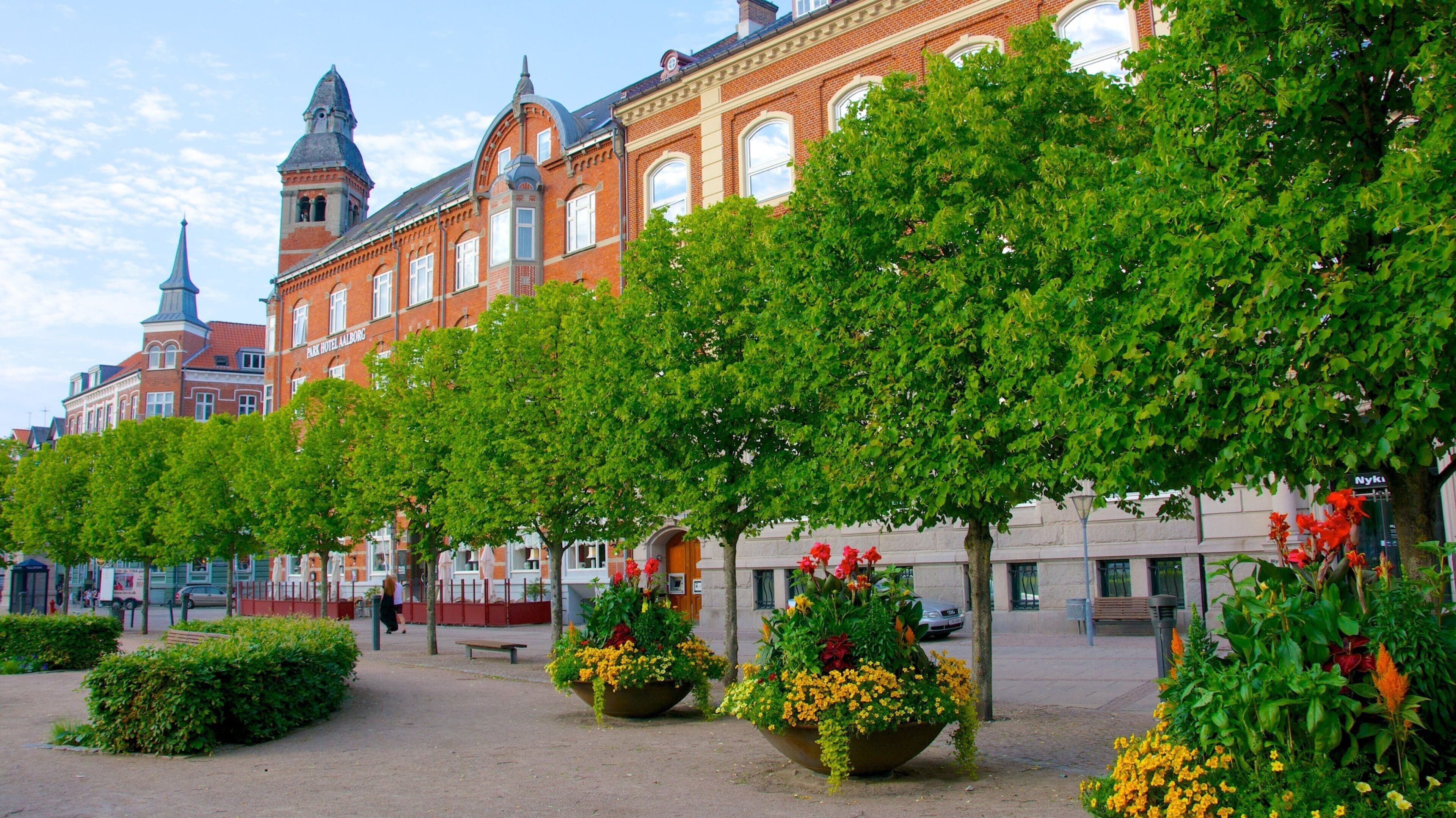 Aalborg som omfatter historiske bygningsværker og blomster