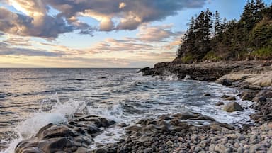 Right next to a little wharf in Granville ferry. Beautiful little rocky beach. Be careful to not slip as the rock are easily disturbed.