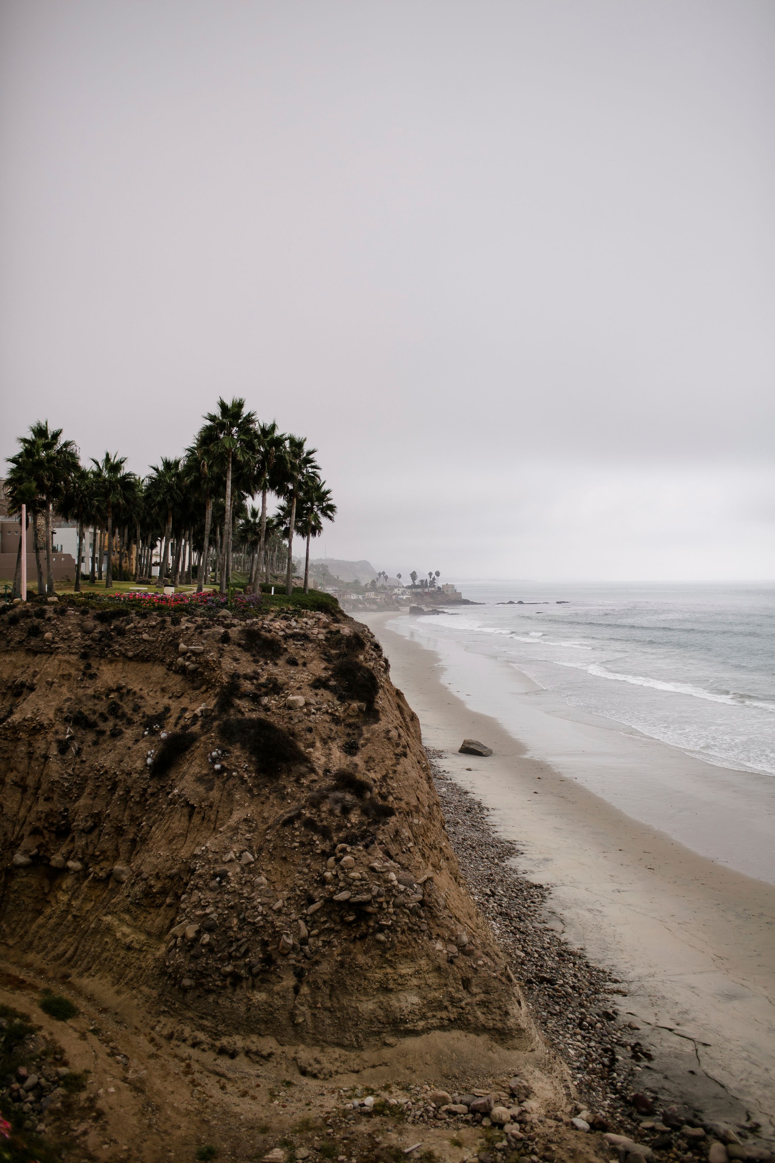 A coastal landscape with a sandy beach, palm trees, and a rocky cliff.