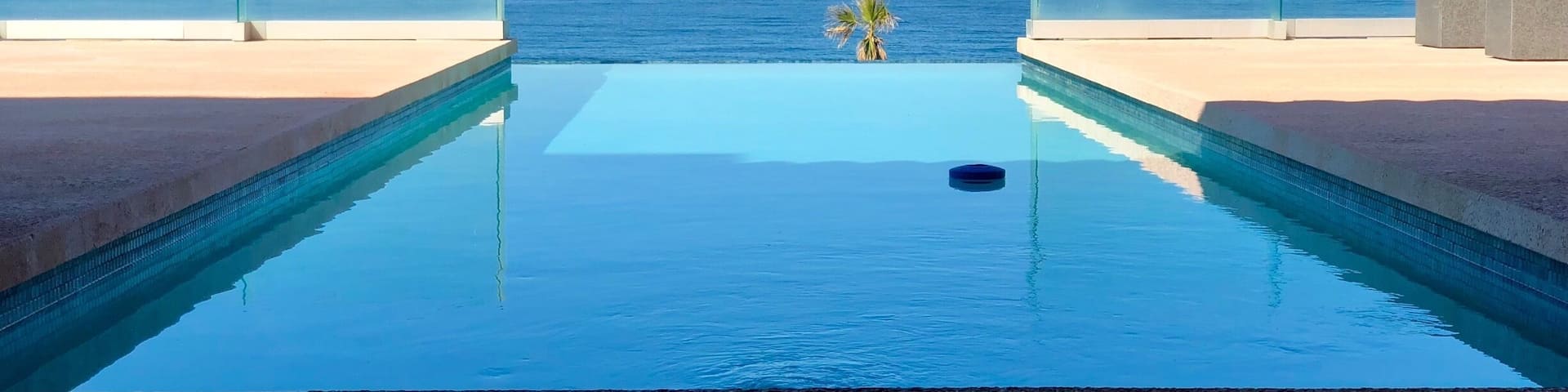 Too pretty to disturb!