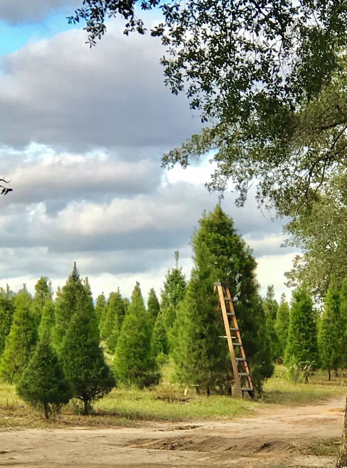 Beautifully maintained and great family time.