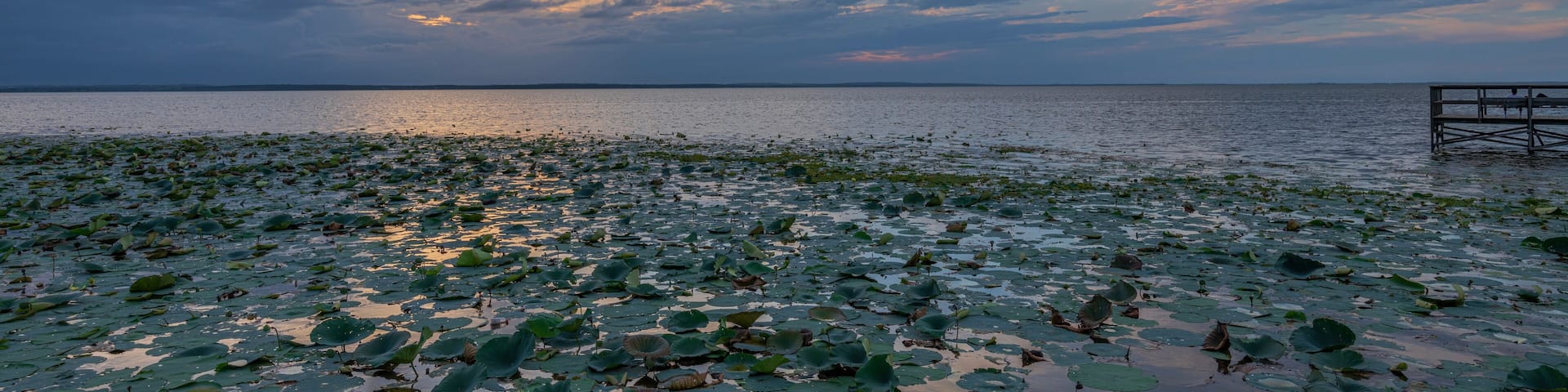 Lake Eustis sunset on the lake Florida.