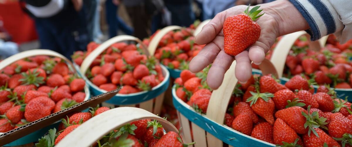 Fête de la Fraise de Velleron