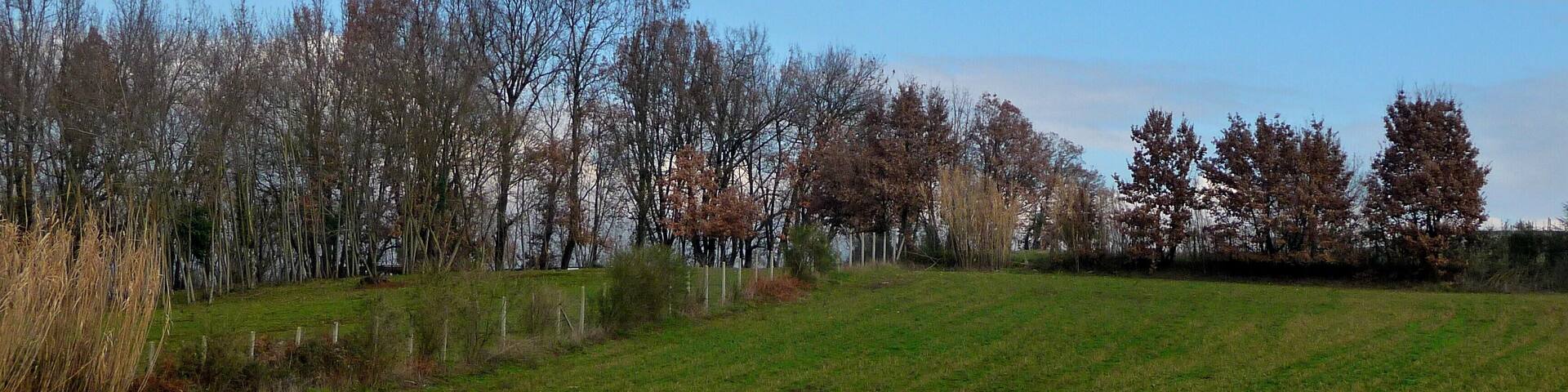 Panorama di campagna nei pressi di Gavignano
