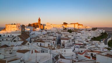 Un pueblo costero con edificios blancos, una iglesia destacada y un castillo fortificado.