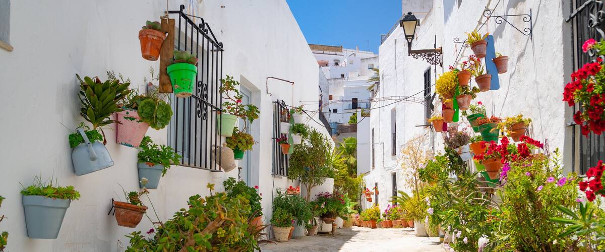 Vejer de la Frontera which includes flowers