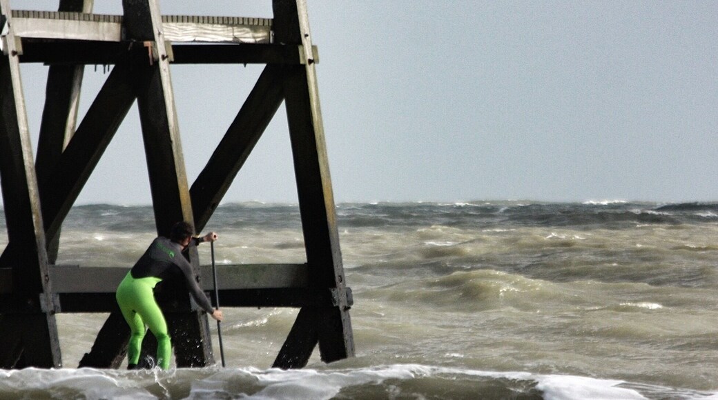 Stand up paddle ( spot)