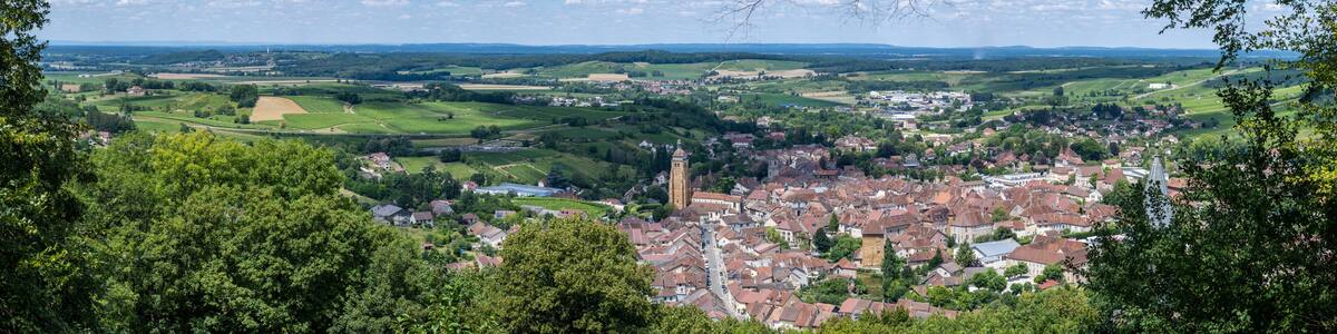 Panorama Arbois City