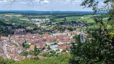 A town nestled in a valley with a prominent church tower, surrounded by lush greenery and agricultural fields.