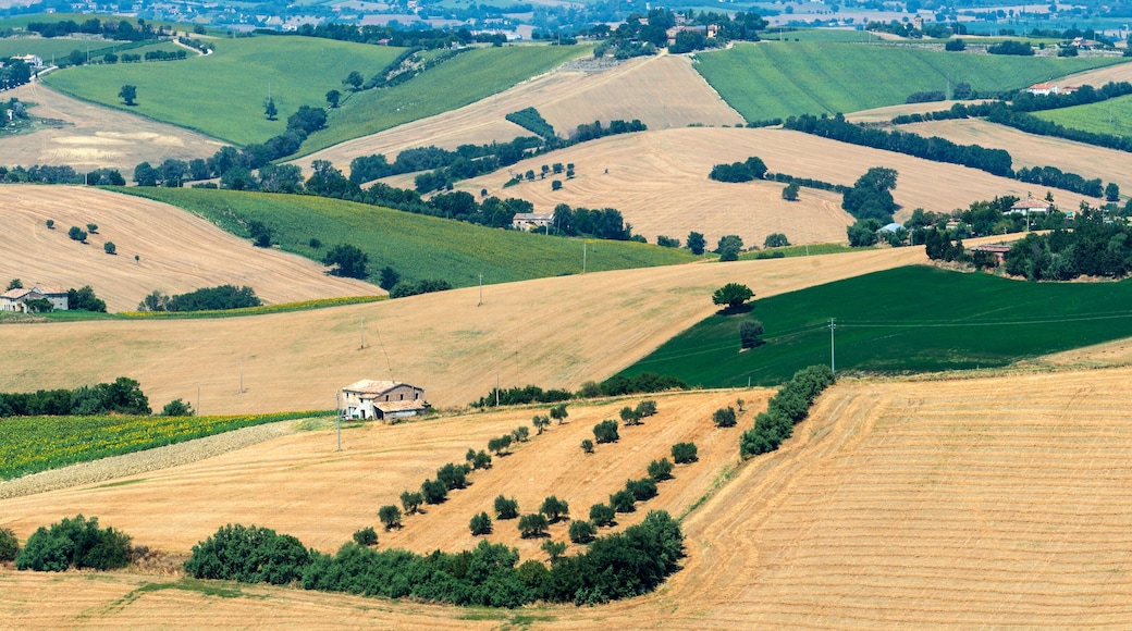 Summer landscape in Marches (Italy)