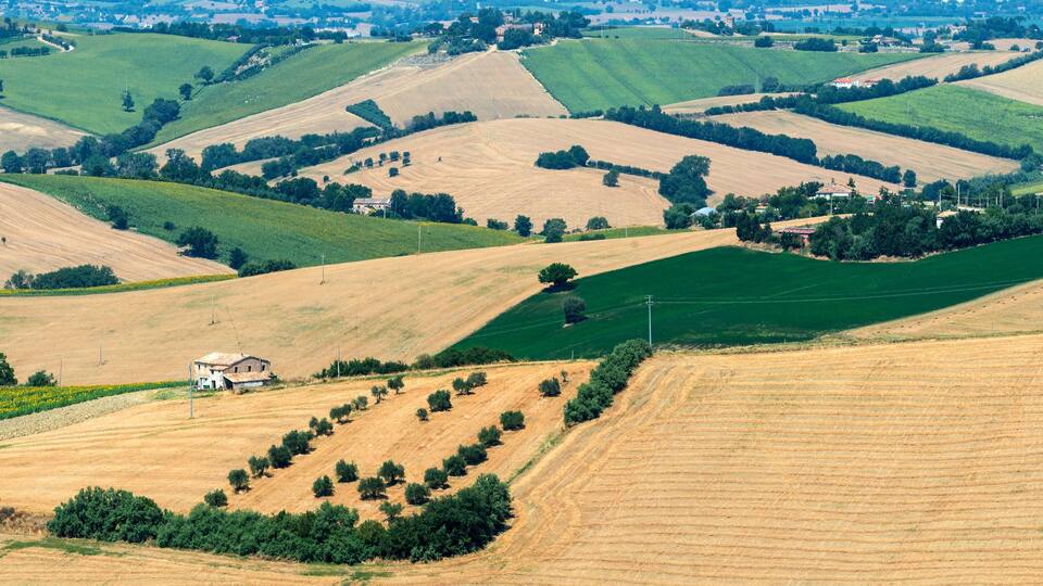 Rolling hills with agricultural fields, a farmhouse, and scattered trees.