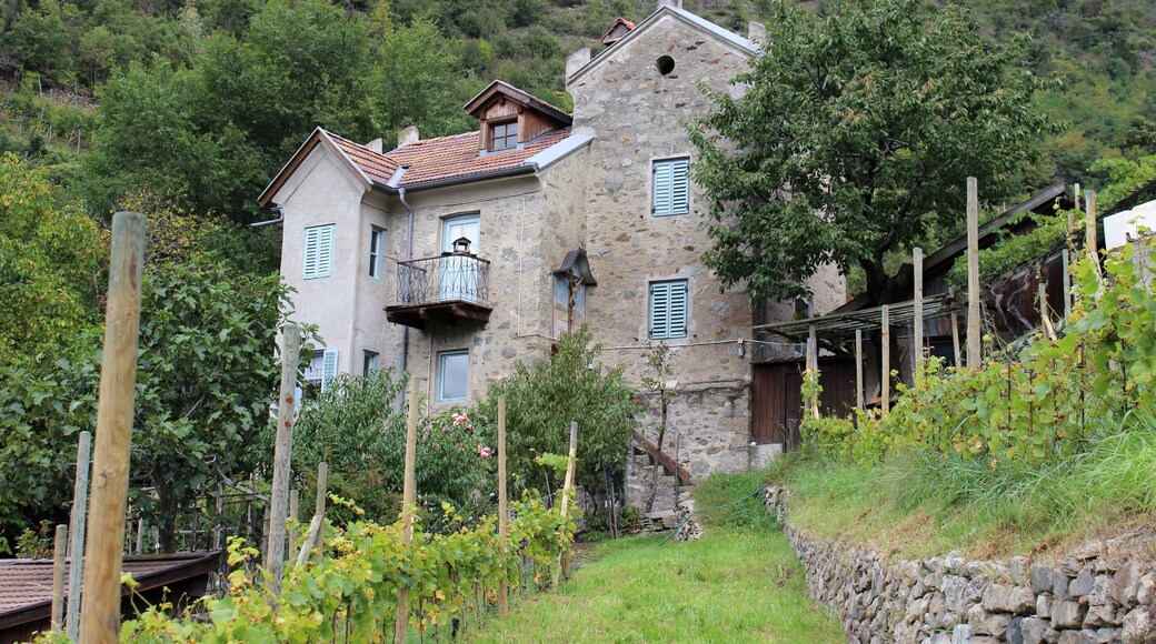 Das Gebäude, das 1892 aus dem Gemäuer der alten Kirche St. Ursula auf dem Berge errichtet wurde. Im Keller befinden sich noch Reste der mittelalterlichen Kirche.