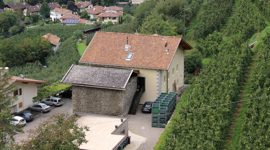 Martschein in Naturns