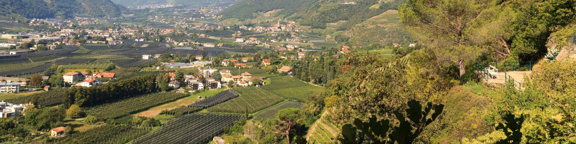 Panorama view of Algund and mountains seen from Tappeiner promenade, South Tyrol, Italy
