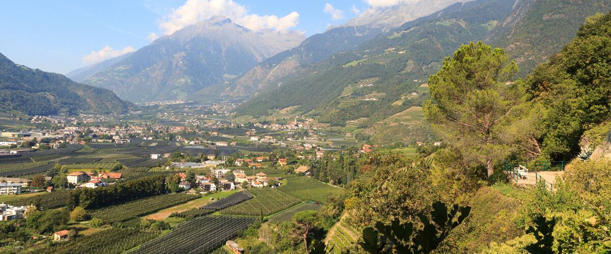A mountainous landscape with vineyards, a town, and a prominent mountain peak.