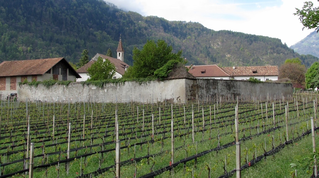 Convent Maria Steinach, Algund, South Tyrol