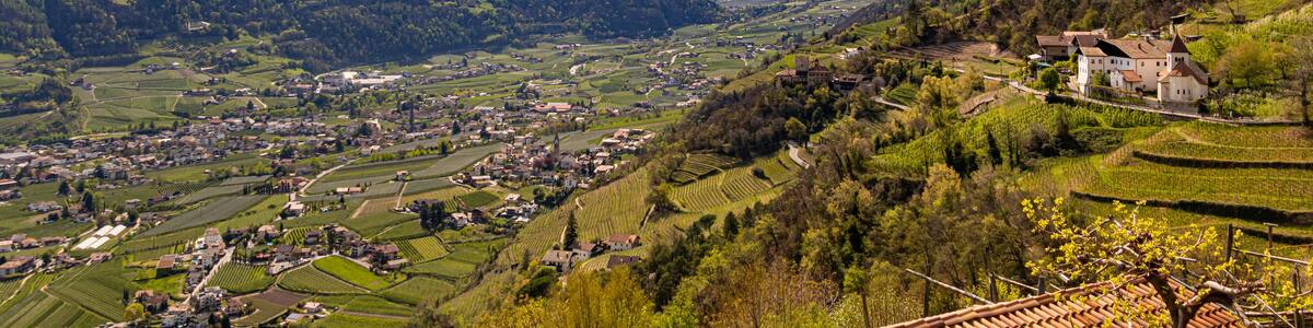 Une vallée parsemée de vignobles en terrasses, un petit village et, au loin, des montagnes aux sommets enneigés.