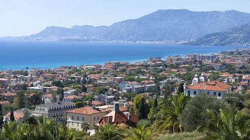 ๋ณด๋ฅด๋๊ฒ๋ผ