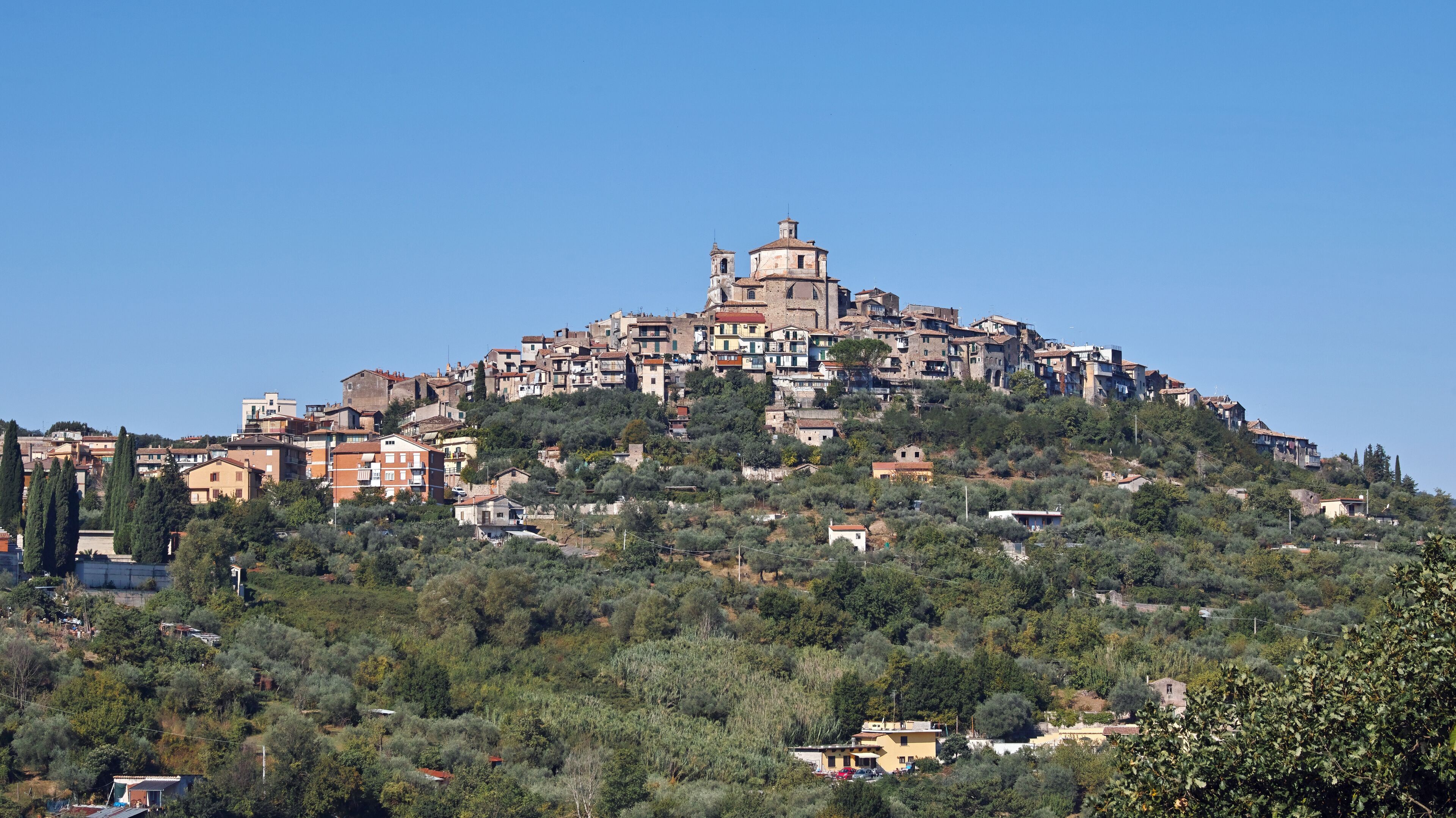 A hillside town with historic buildings and dense vegetation.