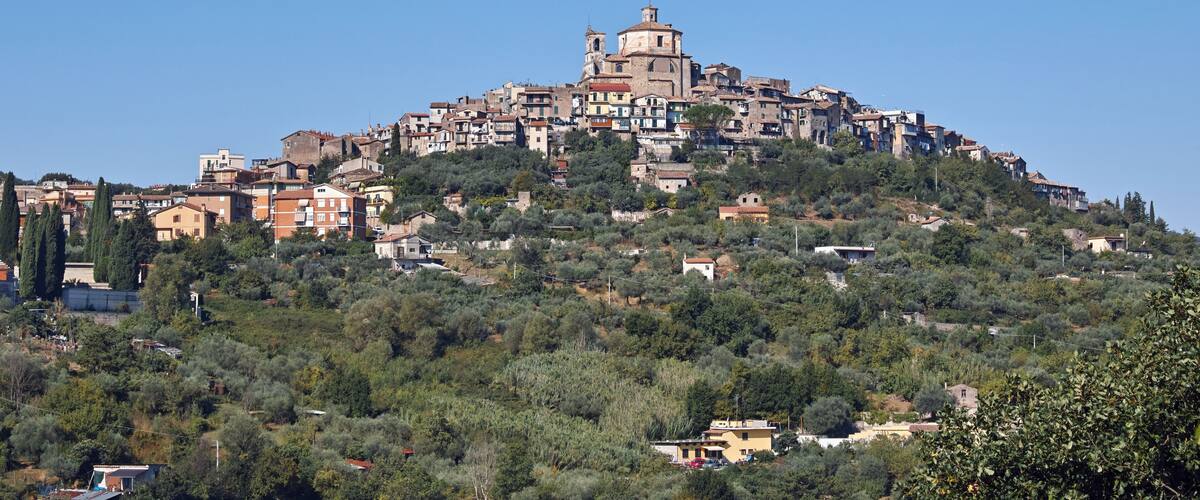 A hillside town with historic buildings and dense vegetation.