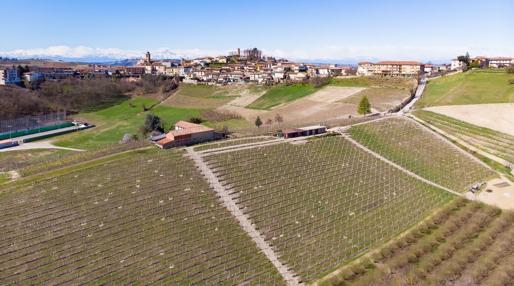 Castagnole delle Lanze