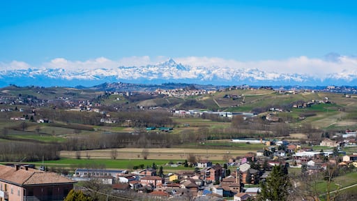 castagnole delle lanze, monferrato langhe vineyards, wine region, Piedmont, Italy