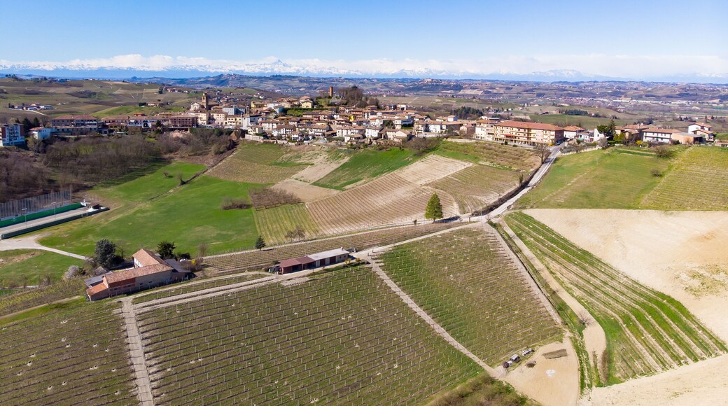 Castagnole delle Lanze