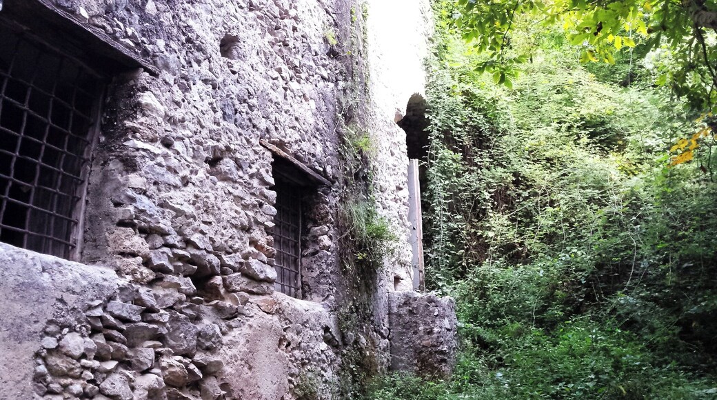 Discovering and exploring the abandoned paper mills while hiking through the hills of the Amalfi Coast.
#adventure #adventureawaits #explore #travel #italy #amalficoast #discover #history #papermills
#hiking
#lemons
#mountains
#waterfall