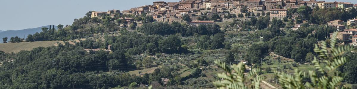 A hillside town with historic buildings, a prominent tower, and lush greenery.