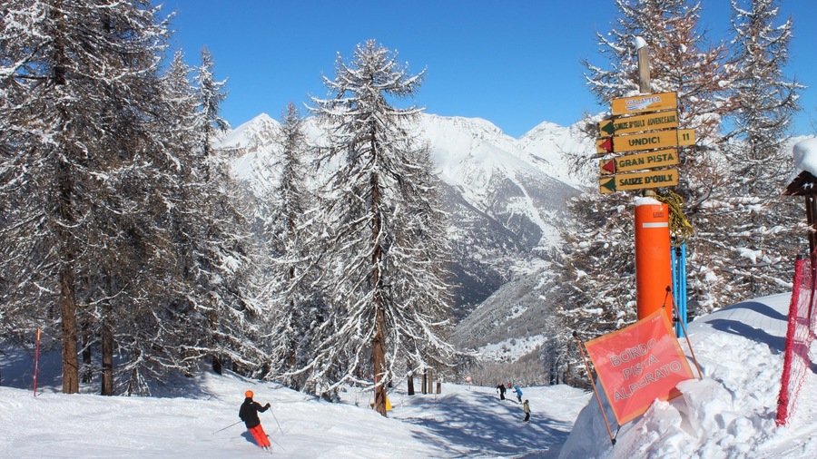 Sauze d\'Oulx featuring snow, signage and snow skiing