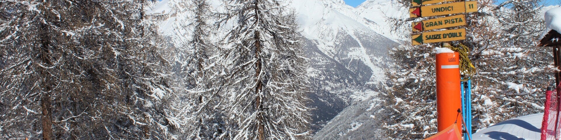 Sauze d\'Oulx featuring snow, signage and snow skiing