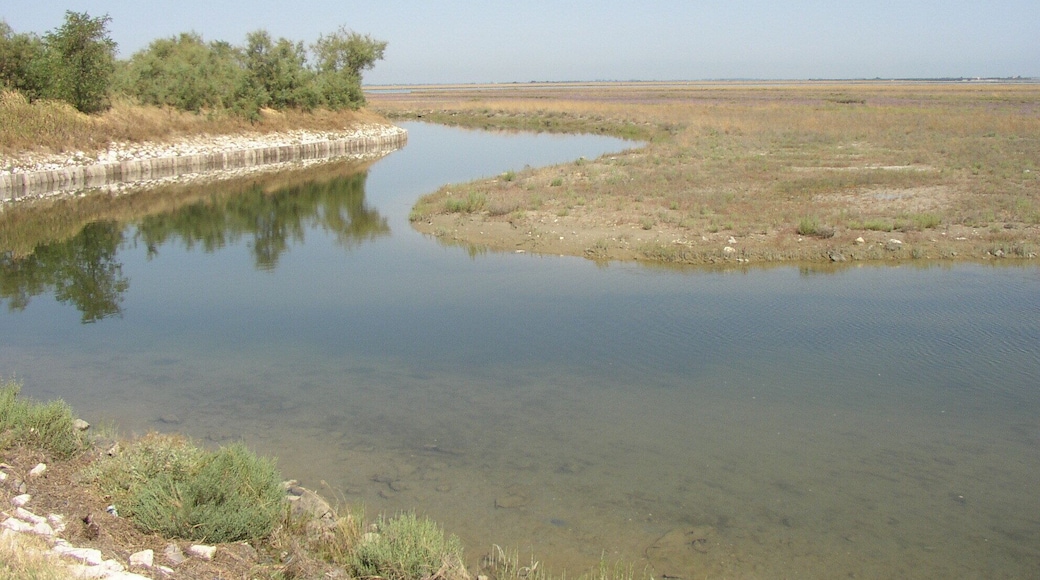 Cavallino-Treporti, Metropolitan City of Venice, Italy