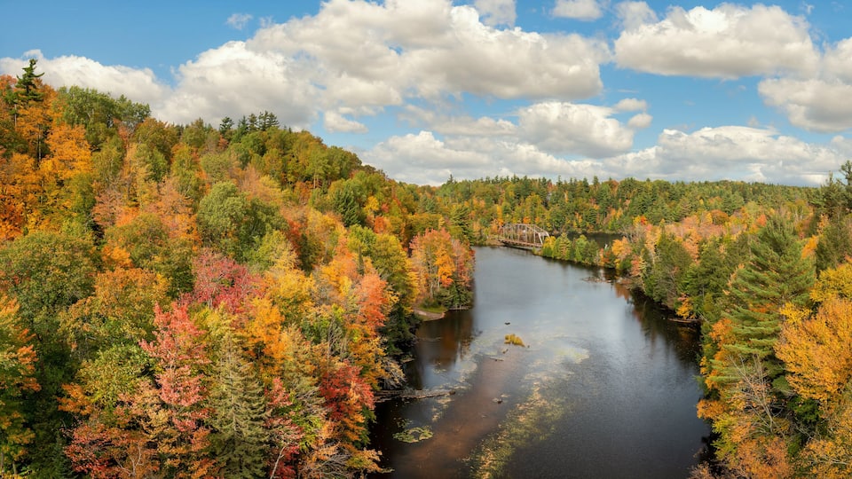 Gorgeous autumn Colors on County Road 510 Trestle Bridge near Marquette Michigan - Upper Peninsula Negaunee