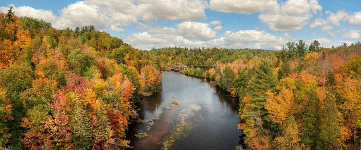 A river surrounded by autumn-colored trees and a bridge.