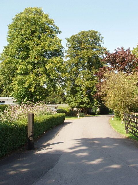 A paved road flanked by trees and a wooden fence.