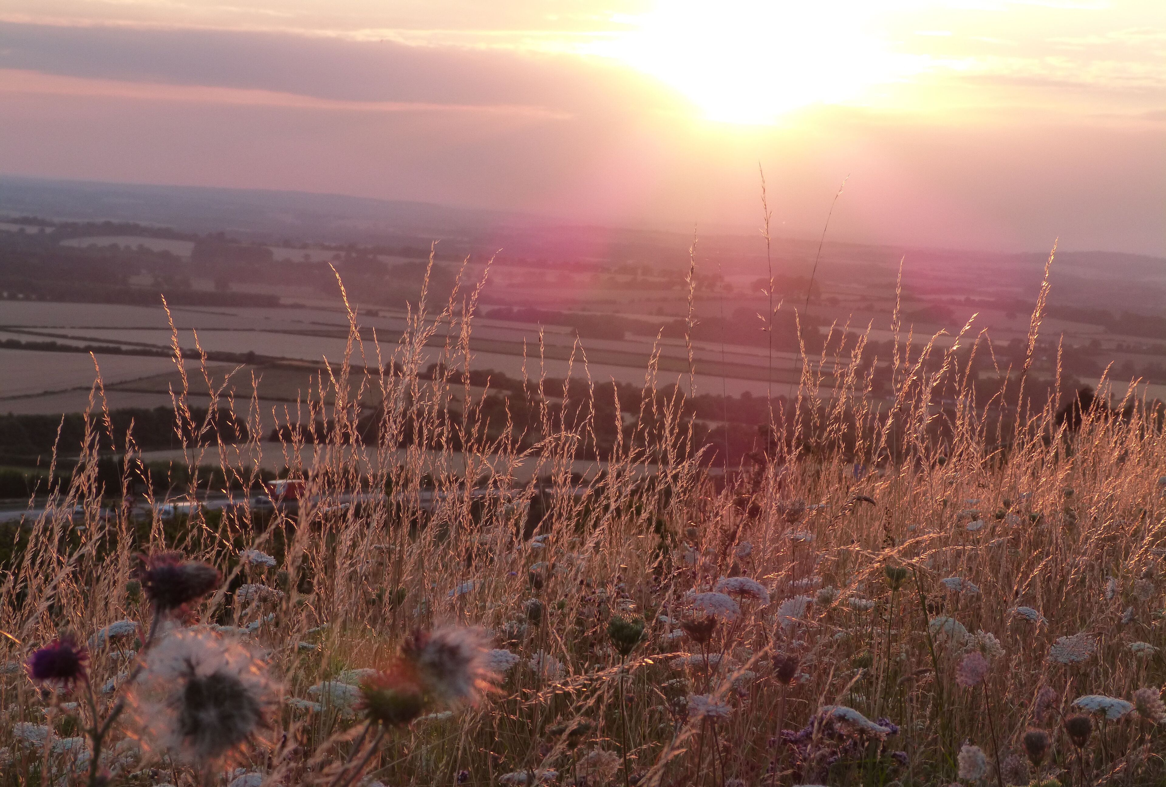 Aston Rowant, Oxon. SU 729896