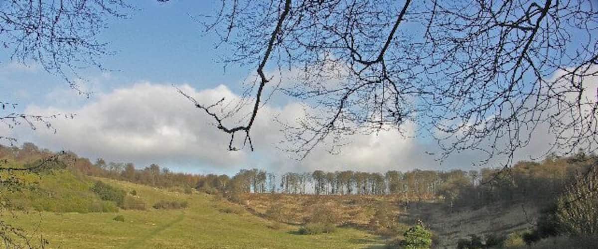 Shirburn Hill. Saucer-shaped depressions like these on hillsides in the Chilterns are very probably the result of freeze-thaw action at the end of the last Ice Age. The permanently frozen subsoil caused rain and meltwater to be trapped near the surface as it moved downhill, gradually eroding the surface.
