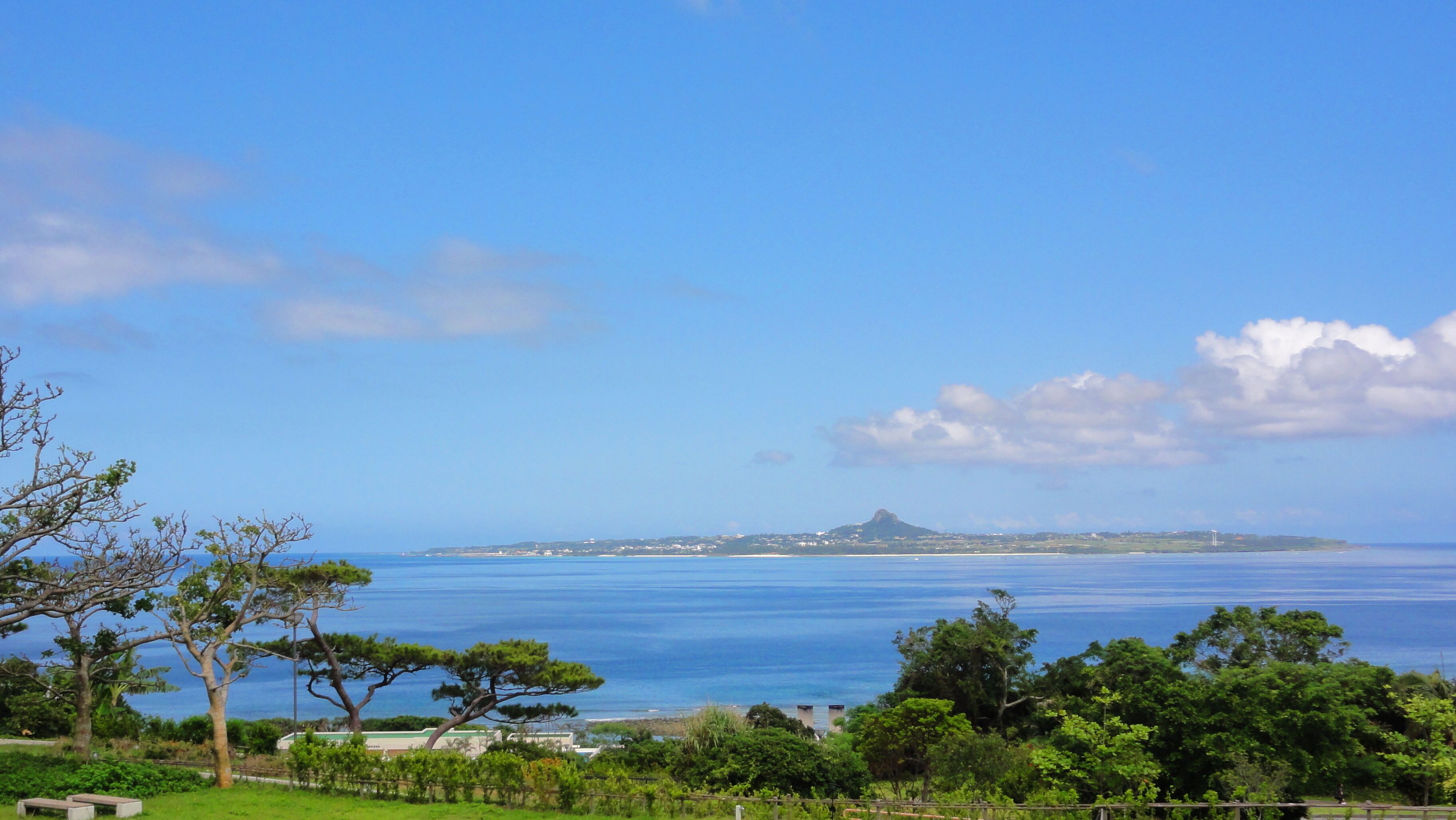 A coastal landscape with a clear sky, a distant island, and a calm sea.