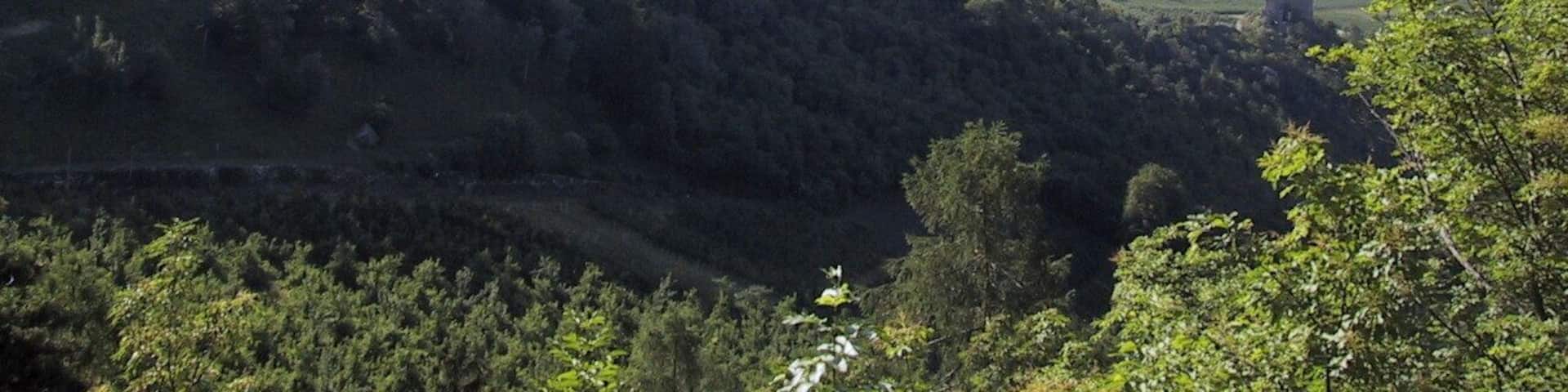 This media shows the cultural heritage monument with the number 15653 in South Tyrol. Der FelsenhĂŒgel am Eingang in das Martelltal im Vinschgau mit Ober- und Untermontani