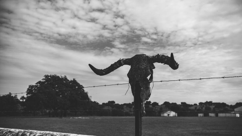 A barbed wire fence with a skull mounted on a post, set against a cloudy sky and a distant tree line.