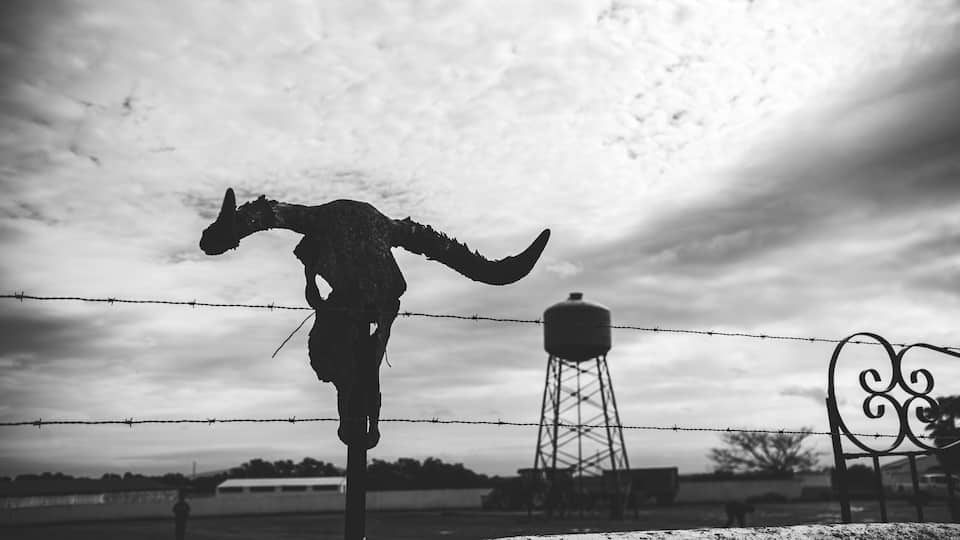 A dinosaur skeleton silhouette against a cloudy sky, a barbed wire fence, and a water tower in the background.