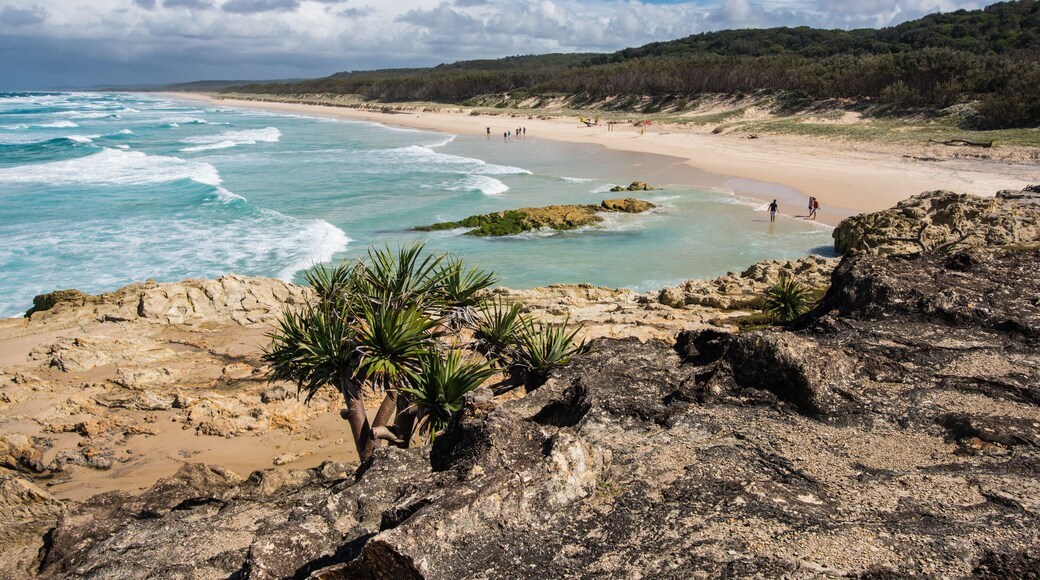 Ville de Redland