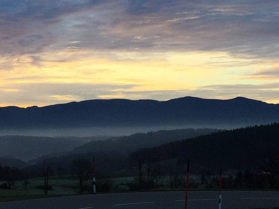 2014 - In the Morning in Black Forrest