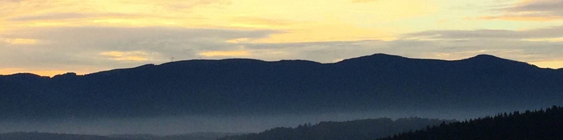 2014 - In the Morning in Black Forrest