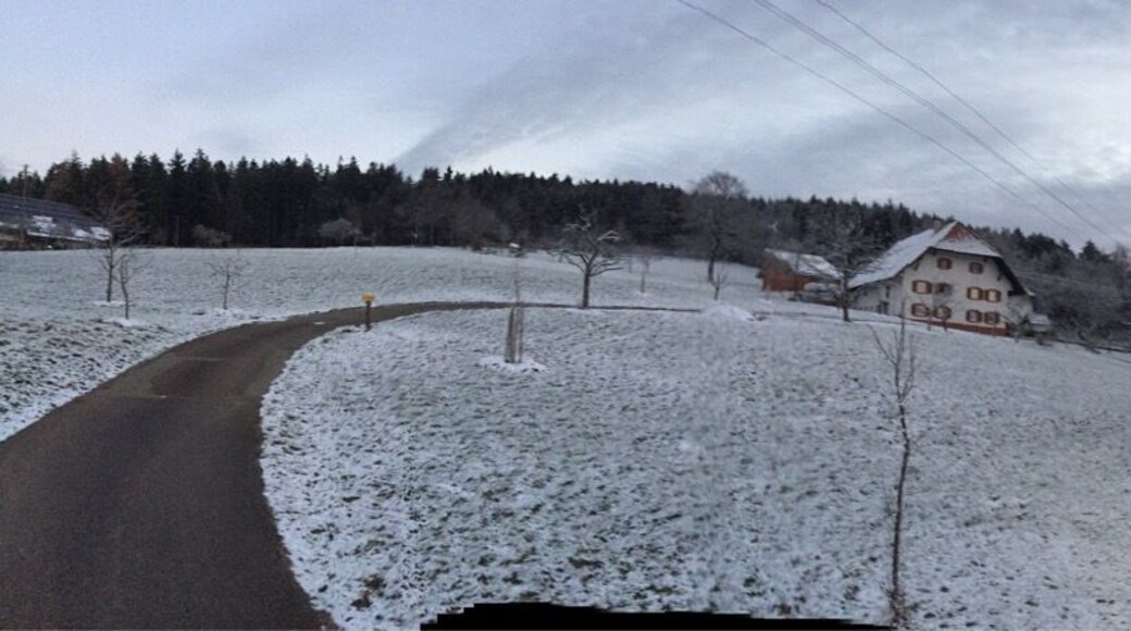 2014 - Black Forrest in Winter