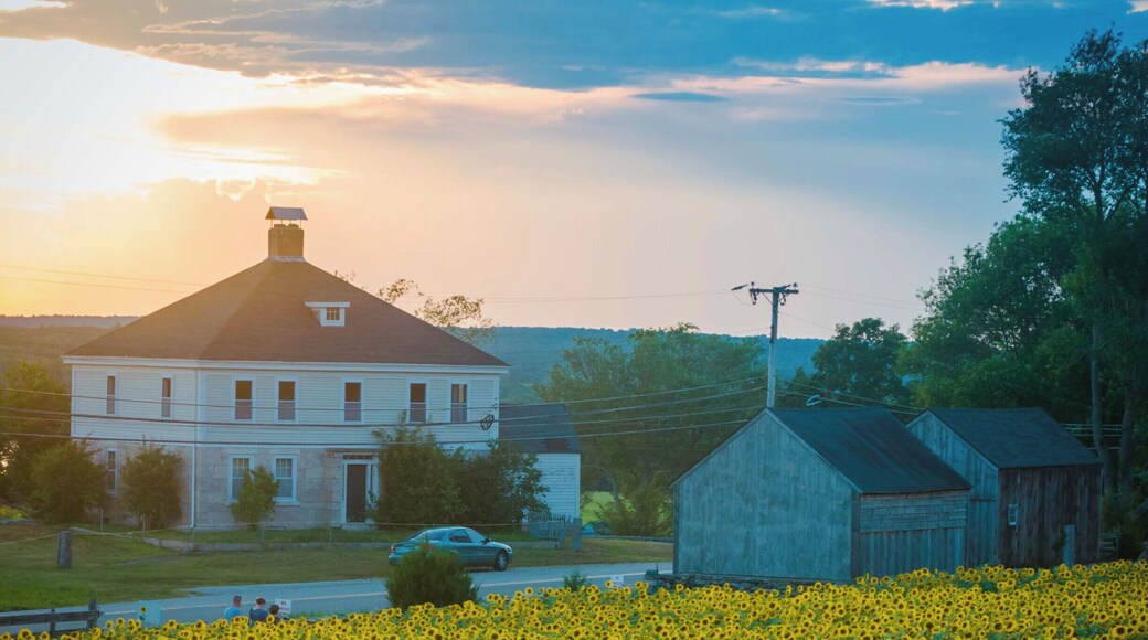 We were extremely lucky to visit Buttonwood Farm during their annual Make-a-wish sunflower festival held every summer. Those sunsets over the sunflower fields, ah bliss!
#EndlessSummer