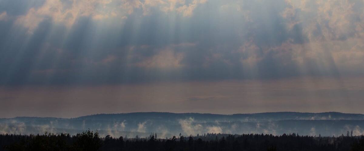 A forested landscape with a cloudy sky and rays of sunlight piercing through.