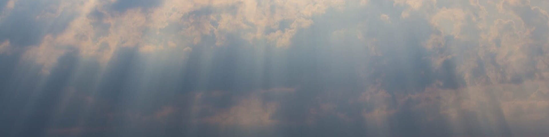 A forested landscape with a cloudy sky and rays of sunlight piercing through.