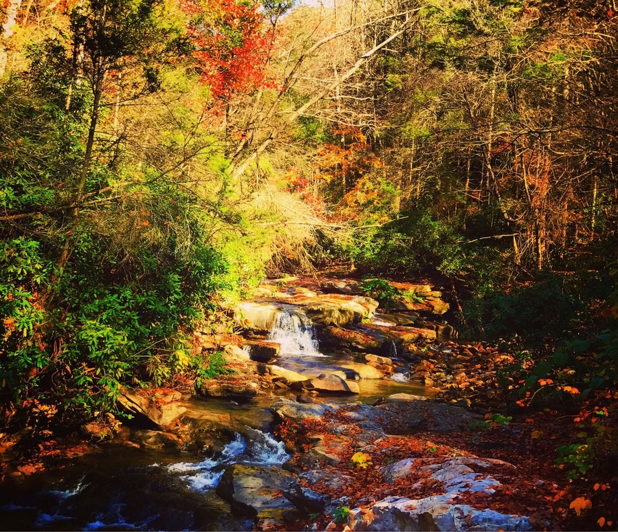 On the drive to a ghost town deep in the New River Gorge of WV