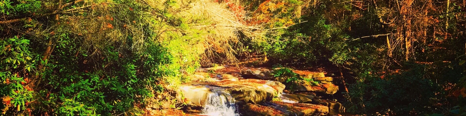 On the drive to a ghost town deep in the New River Gorge of WV
